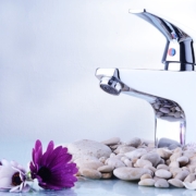 shiralatgolpayegan-(4)–